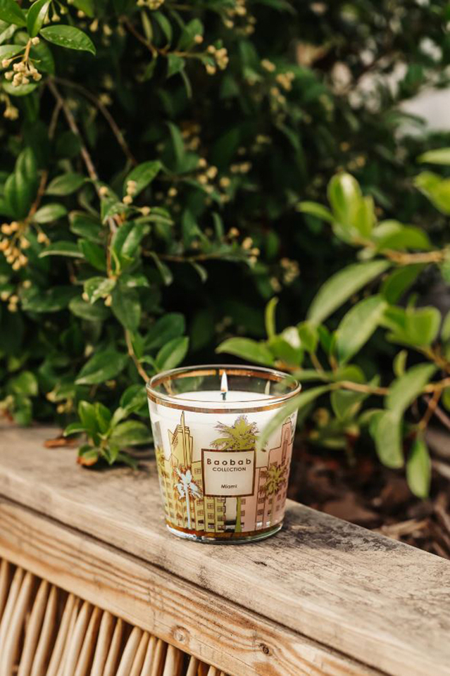 Geurskaars My First Baobab Miami Baobab