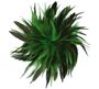 Olive broche Les Cordes