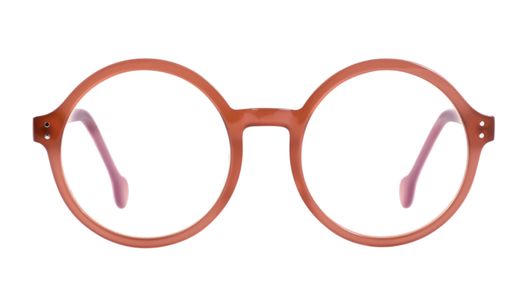 Cinnamon orchid eyecontact Frank and Lucie