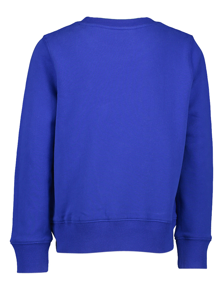 Kobaltblauwe sweater met beer Ralph Lauren 