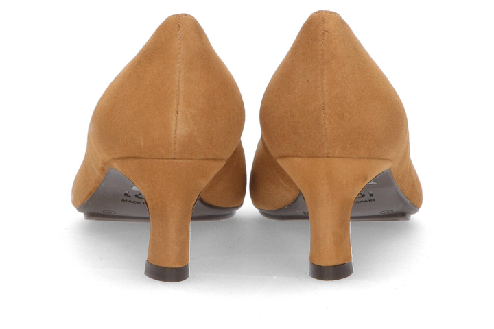 Ante tabco pump Chila Cheto Lodi