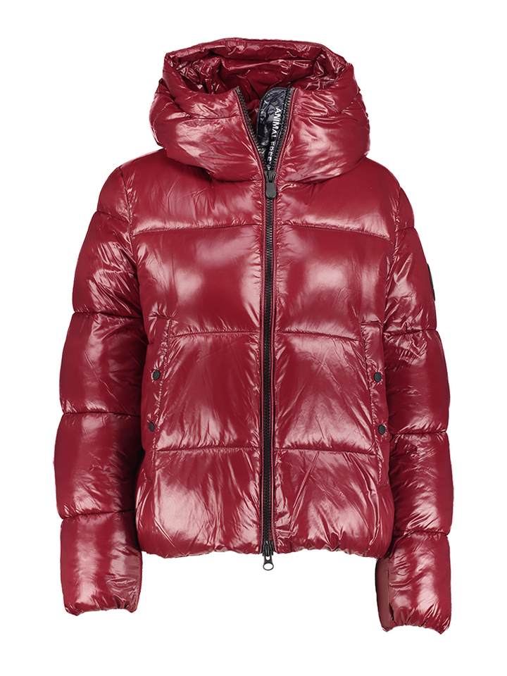 Bordeaux kleurige puffer jas Biddy Love Save The Duck