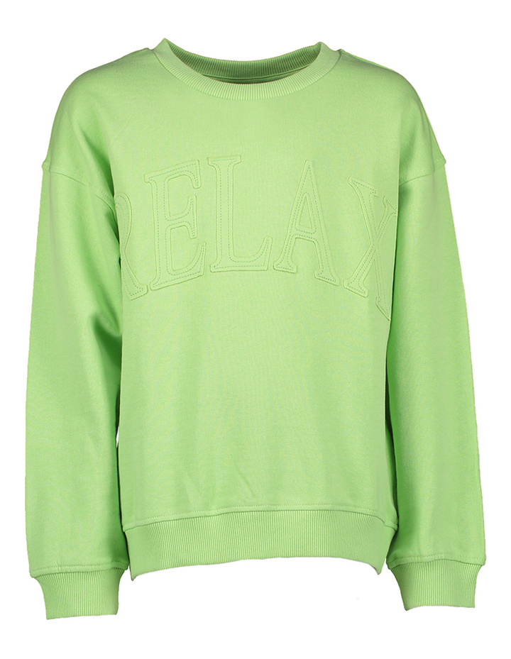 Arcadian green sweater Name It