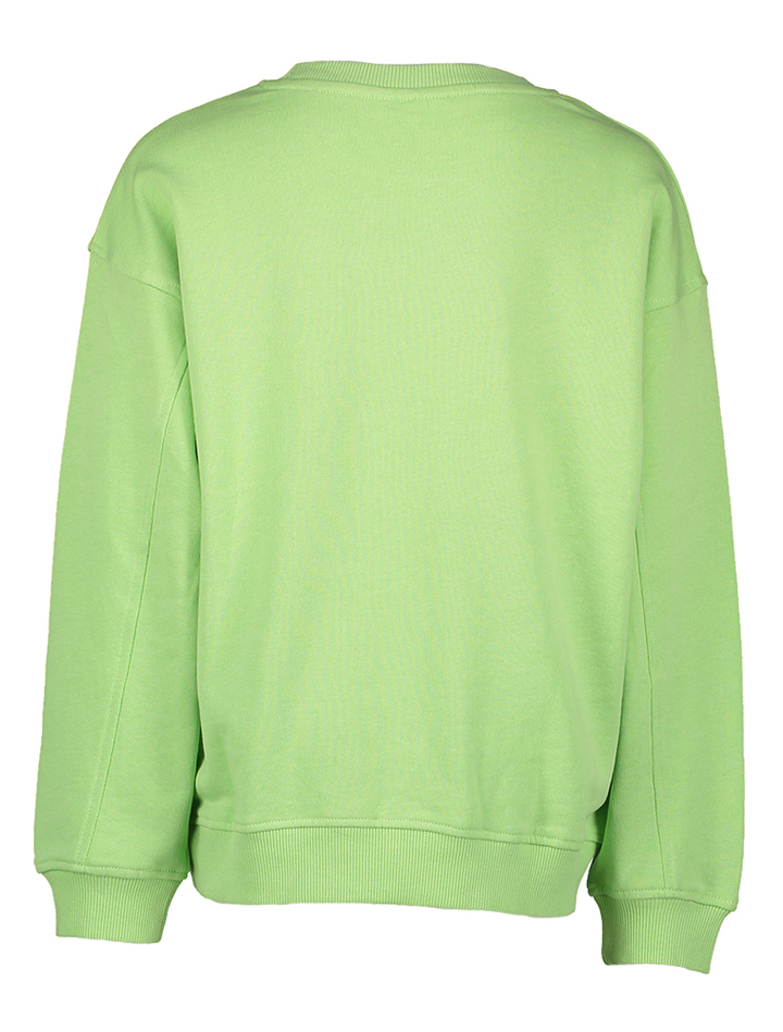 Arcadian green sweater Name It