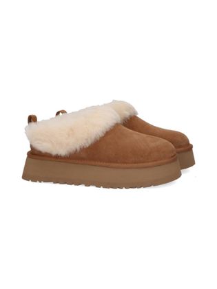 UGG Che chestnut lage boots  
