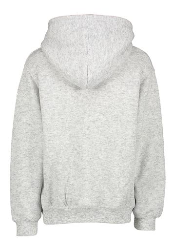 Grijze comfortabele sweater met kap American Vintage 