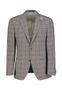 Geruite blazer Roy Robson 