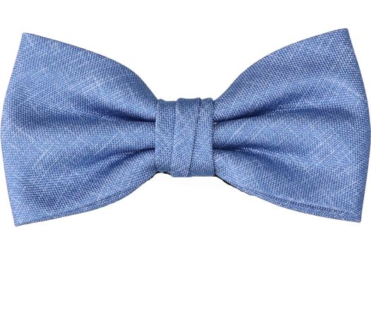 Blauwe strik Profuomo