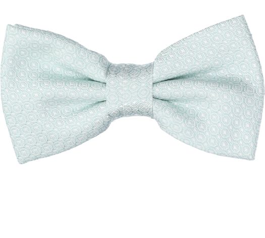 Muntgroene strik in wit motief Profuomo