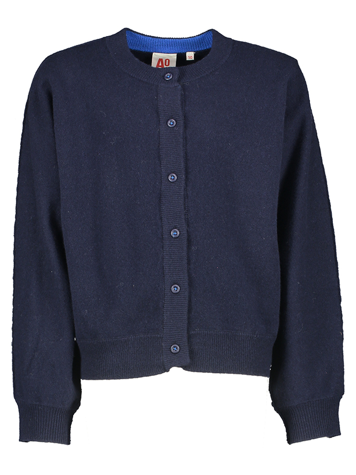 Classic navy gilet met knopen AO 