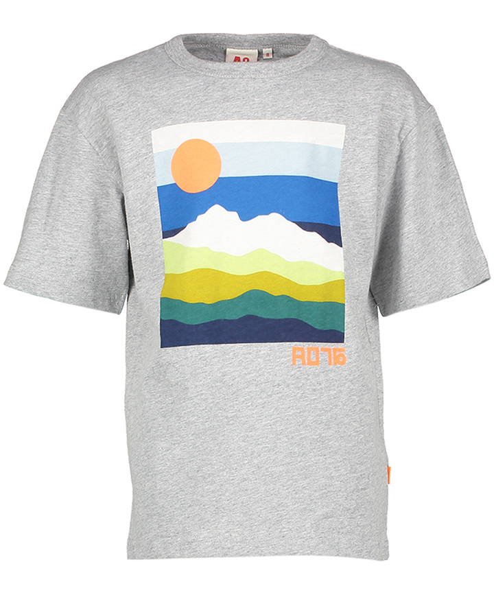 Grijz et-shirt met opdruk AO76