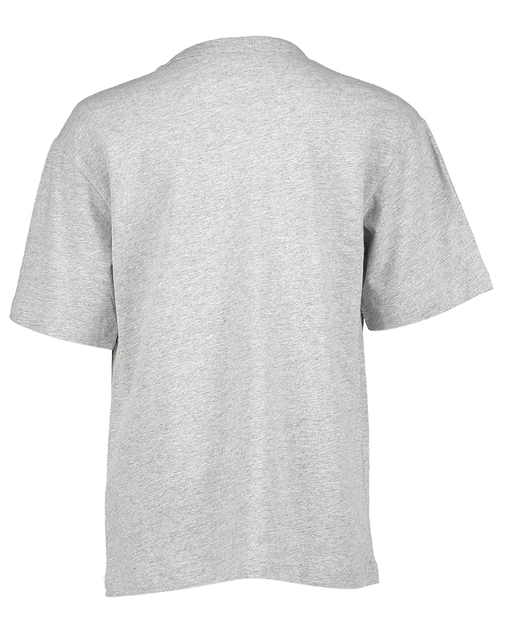 Grijz et-shirt met opdruk AO76