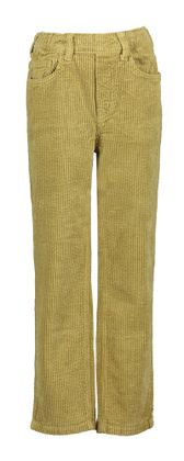 AO76 Willow green broek in ribfluweel met elastiek James Ardo