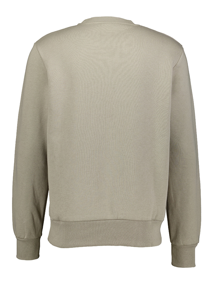 Grijze katoenen sweater Antwrp