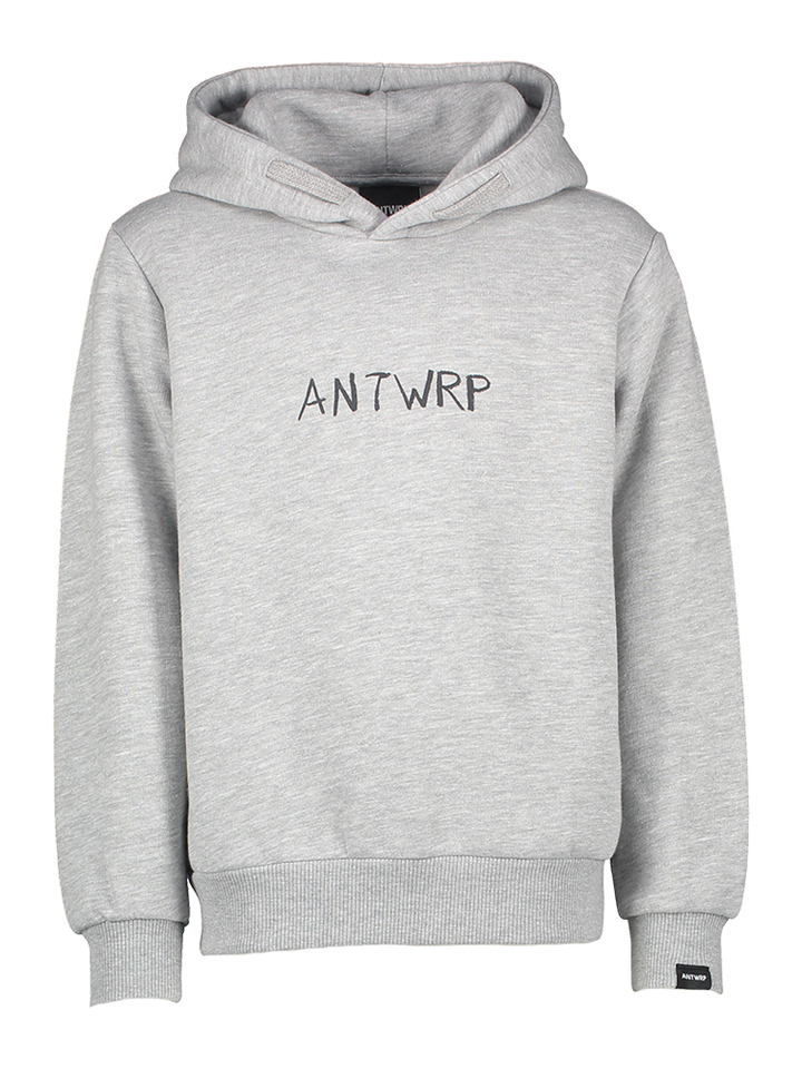 Grijze sweater met kap Antwrp 
