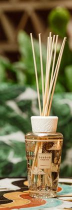 Baobab Diffuser Tommorrowland 2025