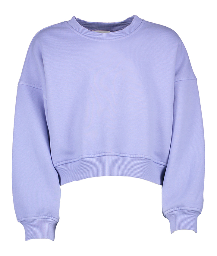 Lila katoene sweater met ronde hals Yara Morley