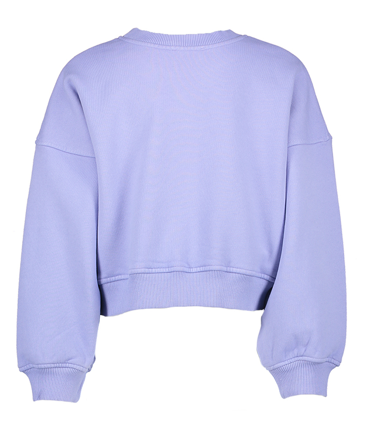 Lila katoene sweater met ronde hals Yara Morley