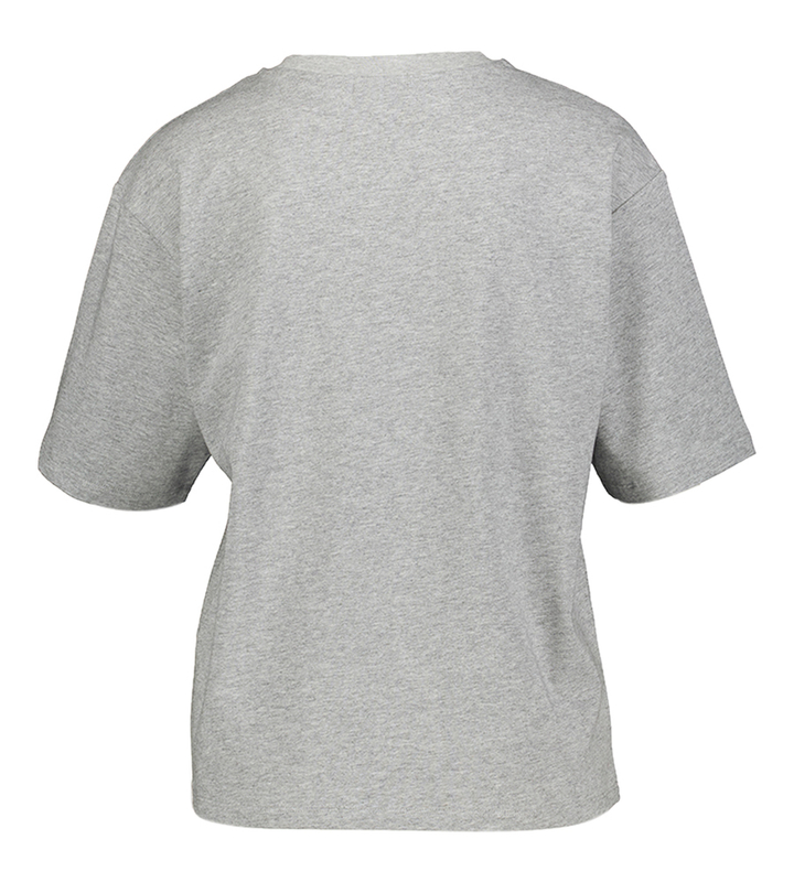 Grey melange t-shirt Taros T Indee Junior