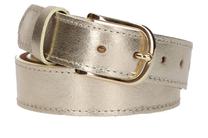 Gouden riem Angelo De Lombardi