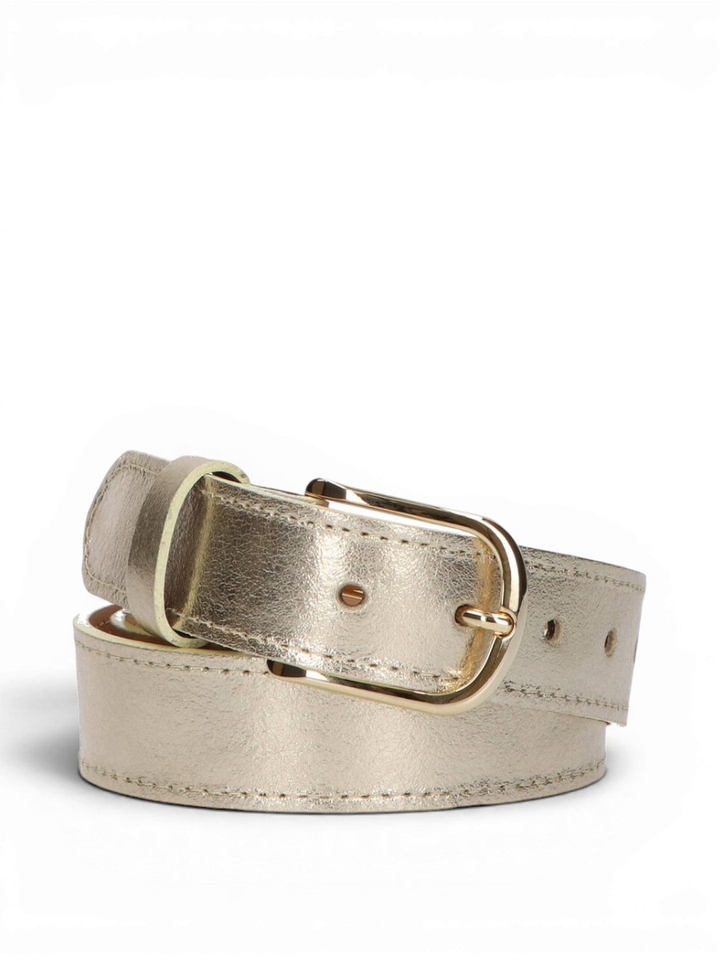 Gouden riem Angelo De Lombardi
