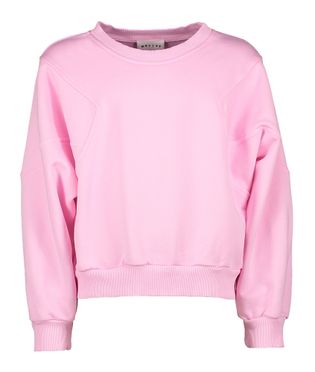 Morley Roze sweater met ronde hals Wasp
