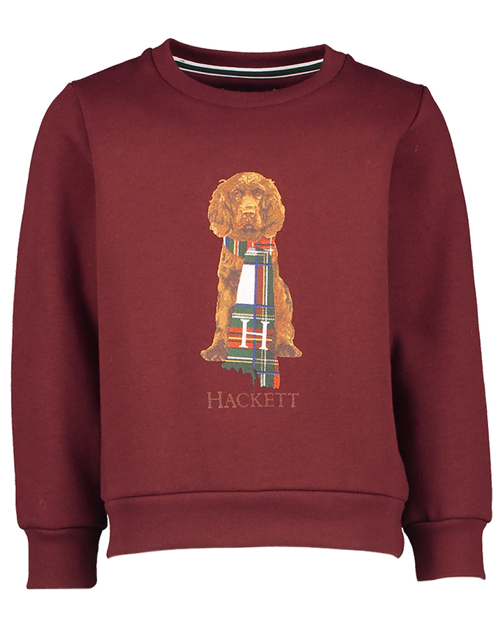 Bordeaux sweater Hackett