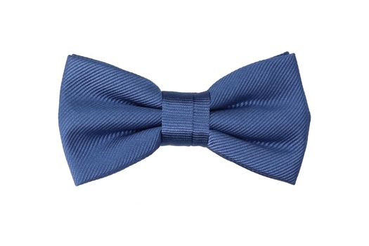 Blauwkleurige vlinderdas Profuomo Michaelis