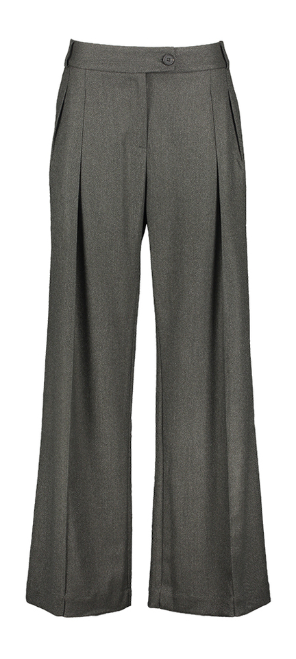 Grijze lange wjide broek met plooi Cezar Nathalie Vleeschouwer 