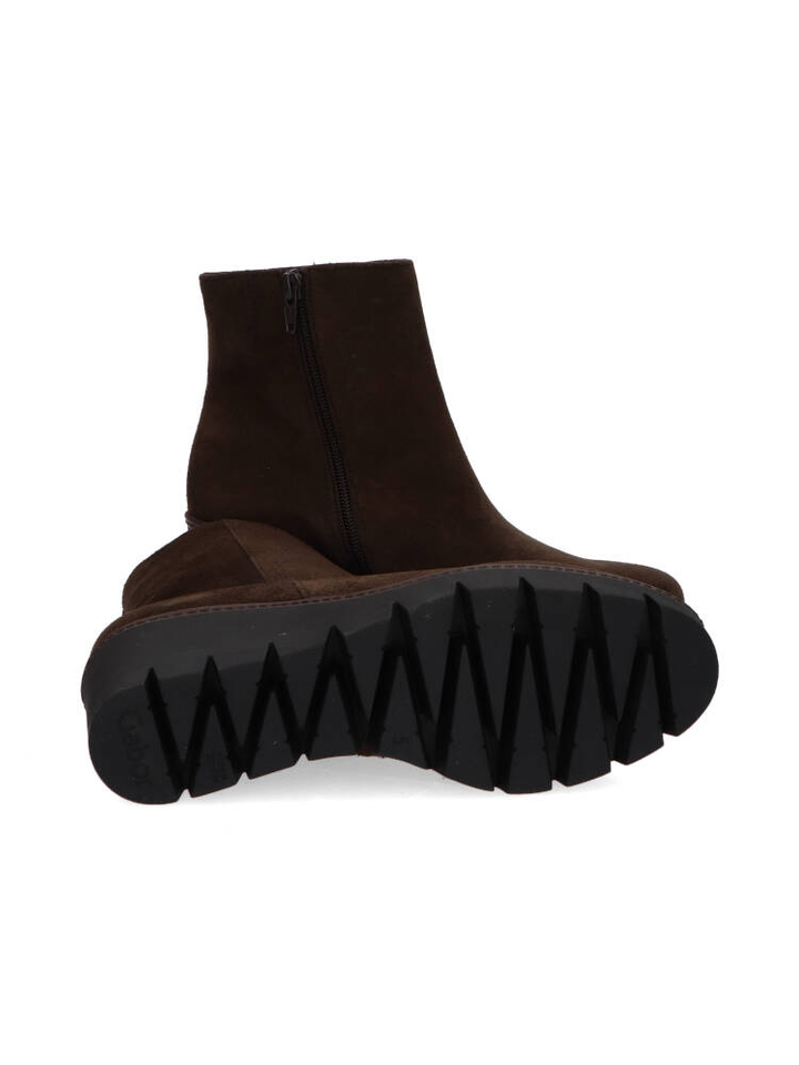 English brown sleehak Gabor 