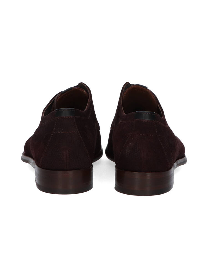 Bruin geklede schoenen De Draver Floris Van Bommel 