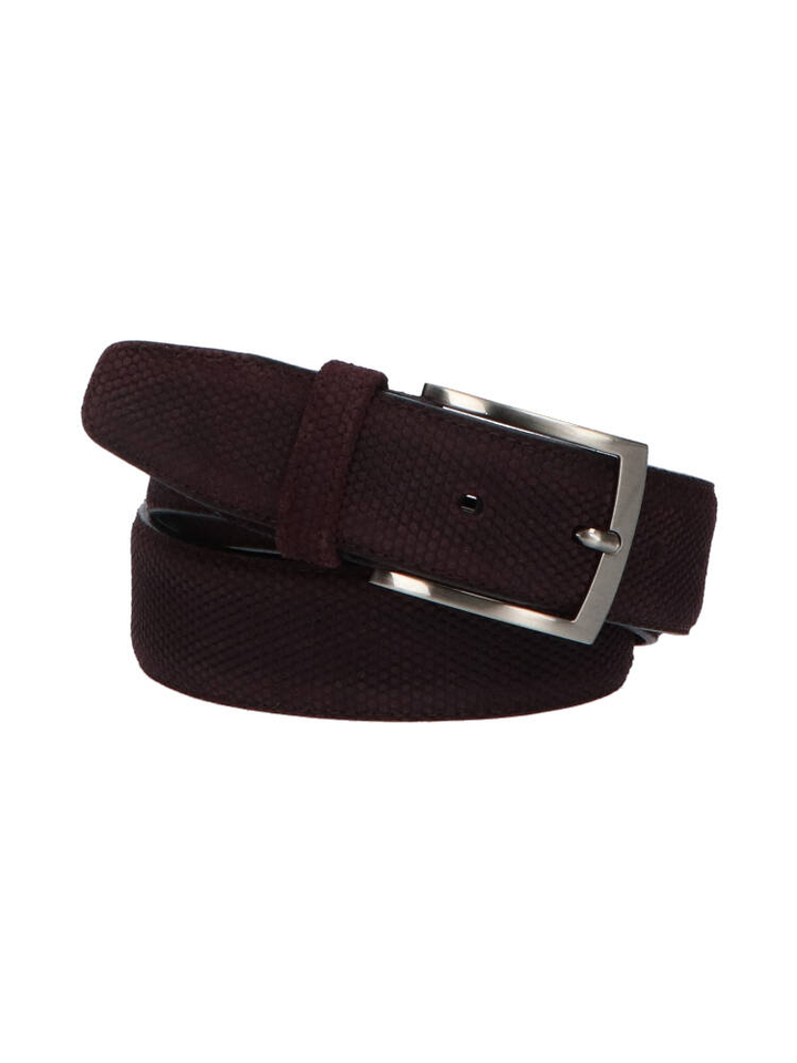 Bordeaux riem Floris Van Bommel 