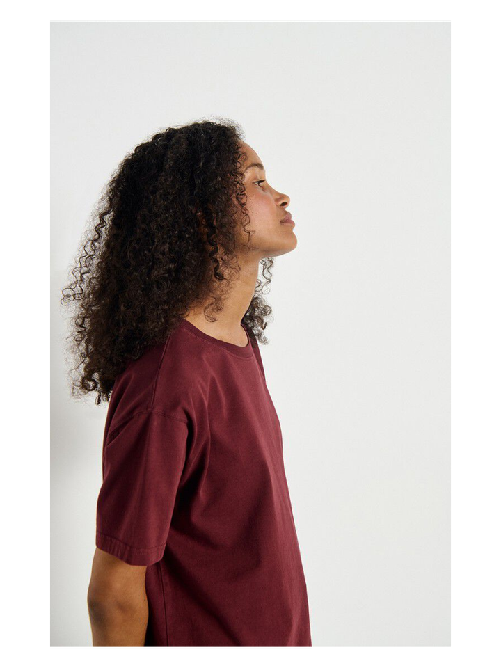 Bordeaux katoenen t-shirt met ronde hals Fiz American Vintage