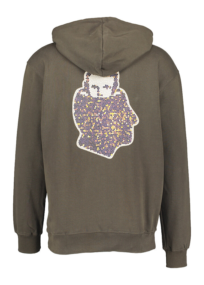 Bruine sweater met kap en mosaiec op de rug Head Logo Mosaiec NNSN