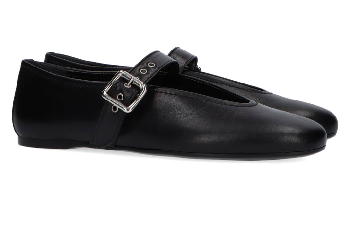 Black ballerina Shakila Rotta