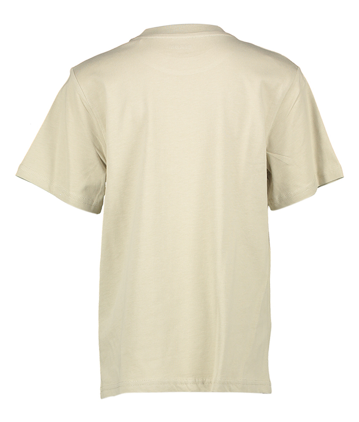 Stone beige katoenen t-shirt met ronde hals Polaroid Strom