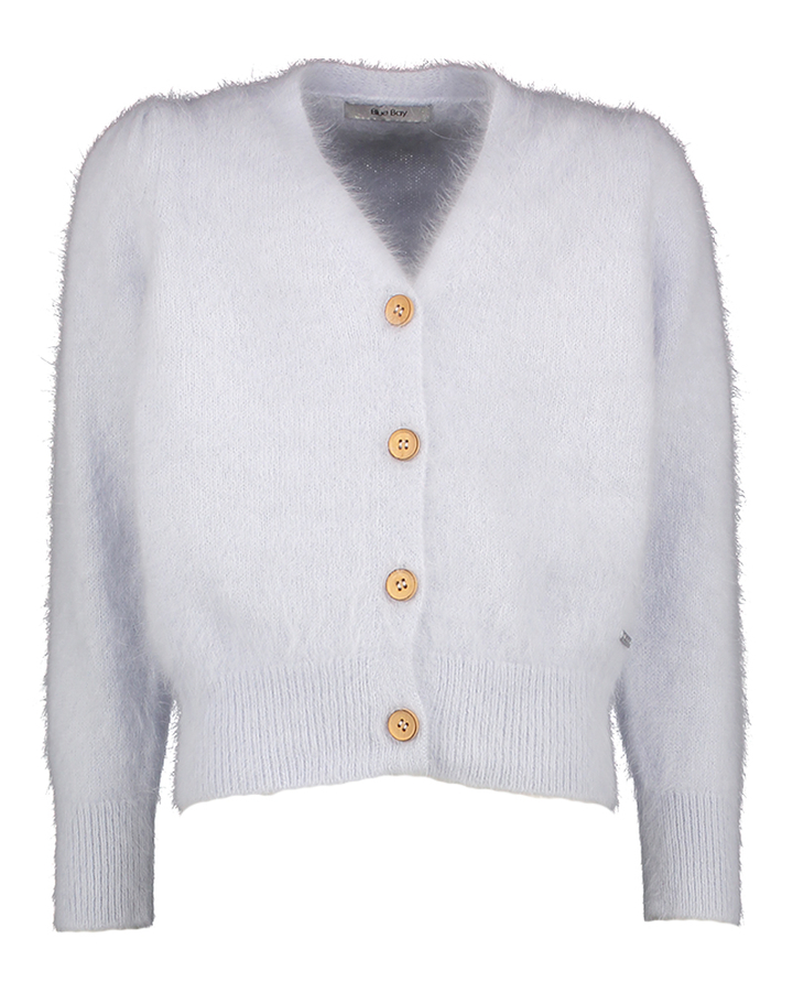 Lichtblauwe zachte gilet Phoebe Blue Bay 