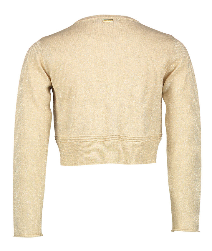 Gilet met goudkleurige metaaldraad Ulla Communie Blue Bay