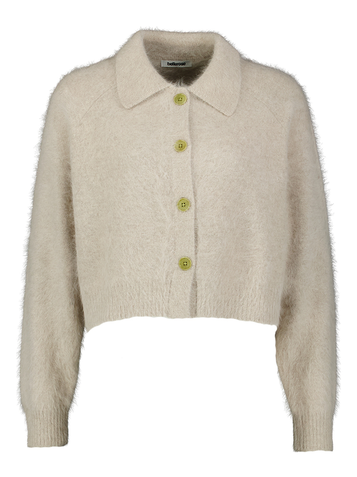 Grijze wollen cardigan Datco Bellerose