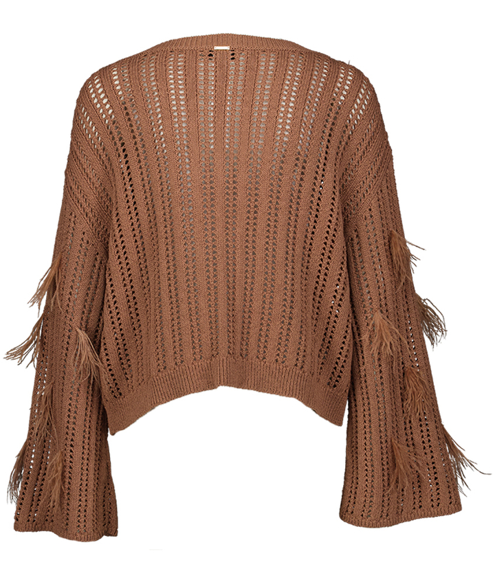 Bruine trui met pluim detail Twinset Milano