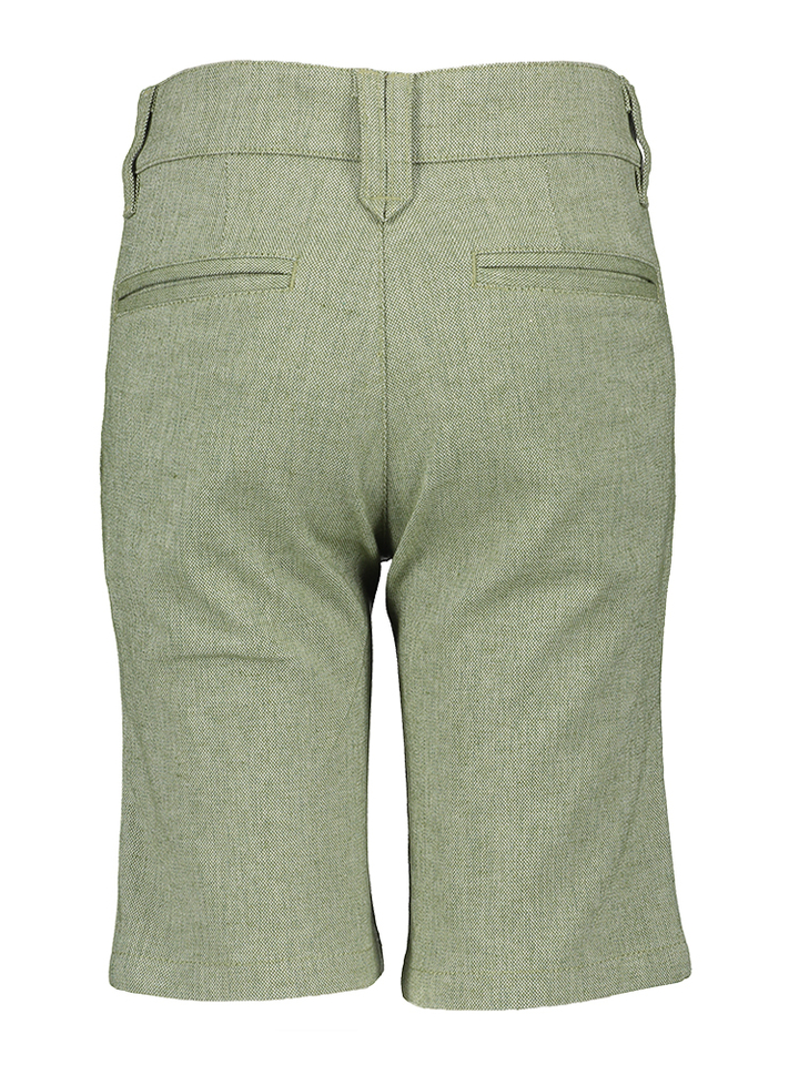 Groene short van katoen en linnen Daan D-lux