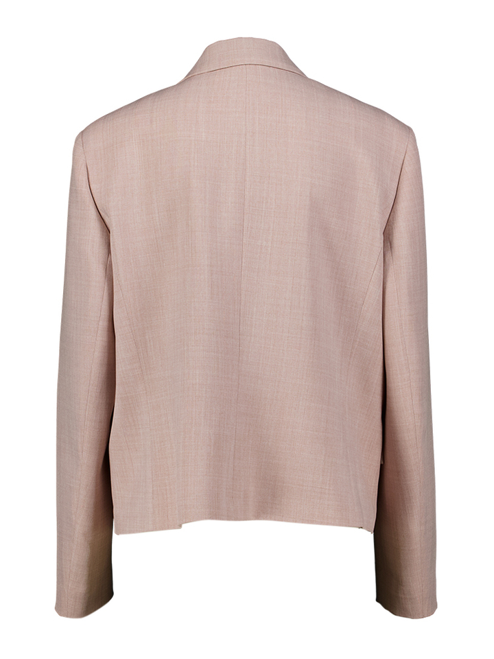Roze blazer Ribaldo Persona