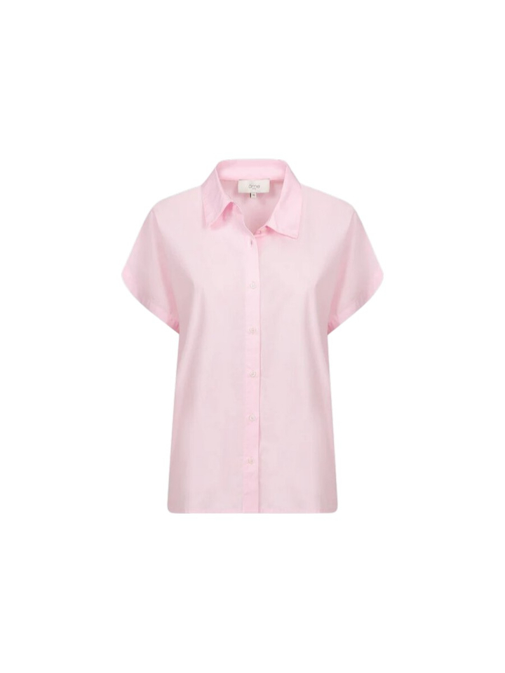 Roze bloes Narcissist Ame 