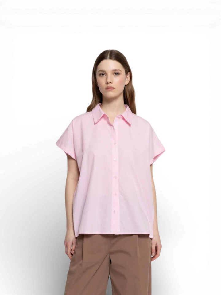 Roze bloes Narcissist Ame 