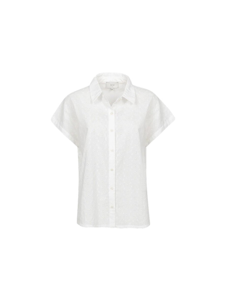 Witte bloes Narcissist Ame 