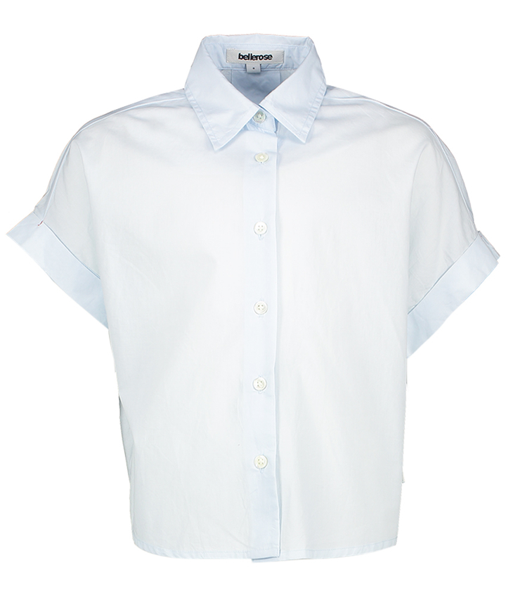 Blauwe bloes Homez Bellerose