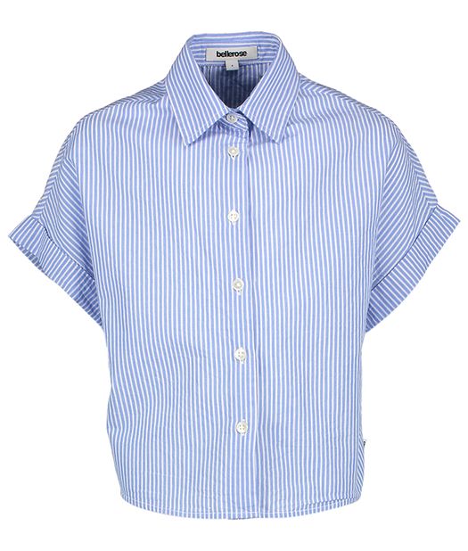 Blauwe gestreepte blous Homez Bellerose