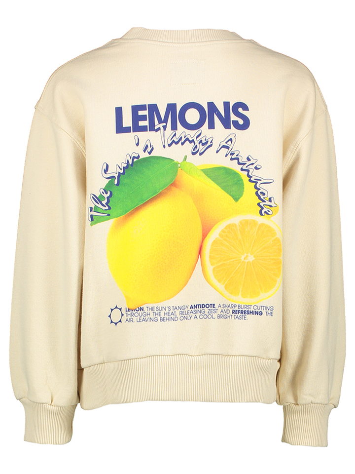 Beige sweater met print achteraan Chambi Bellerose