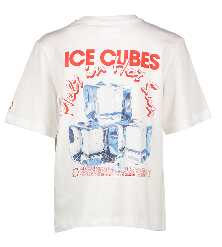 Witte t-shirt ice cubes print Kenny Bellerose
