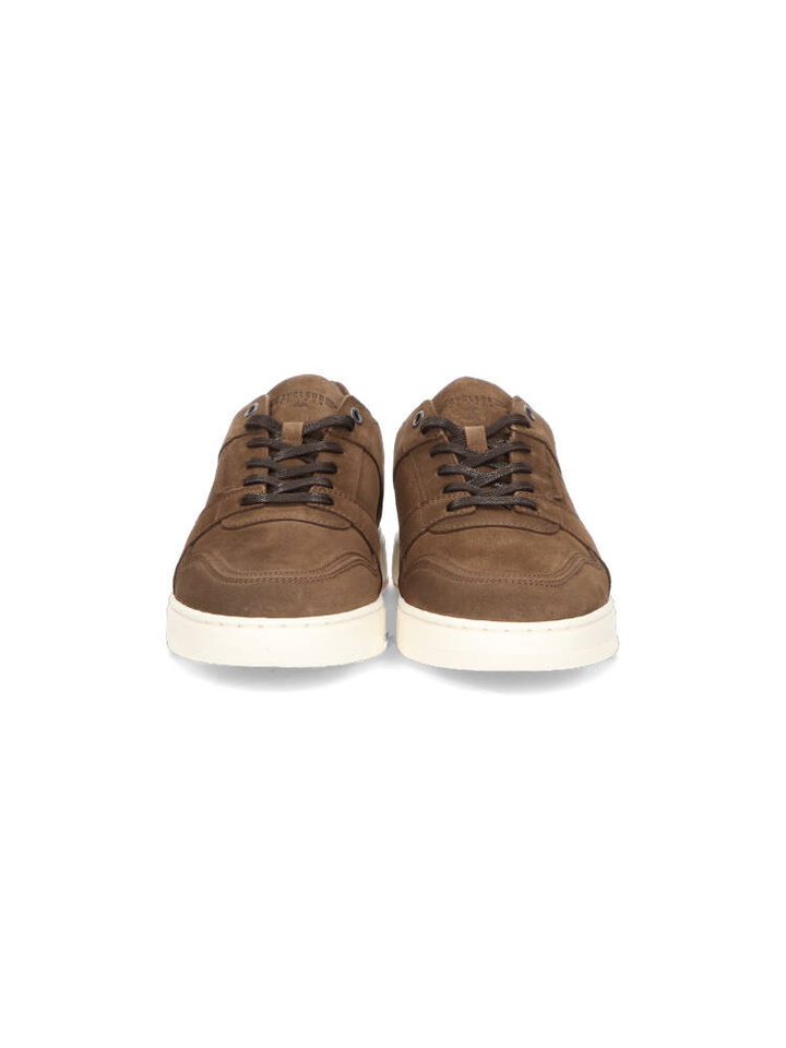 Chicory coffe lage sneakers Cycleur De Luxe